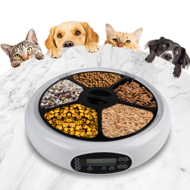 Lentek 5 Meal Automatic Pet Feeder with Voice Message White Timed Food Dispenser for Cat or Dog 5 oz Compartments for Portion Control 25 oz Total